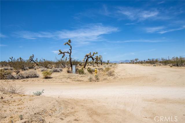Joshua Tree, CA 92252,6563 Saddleback RD