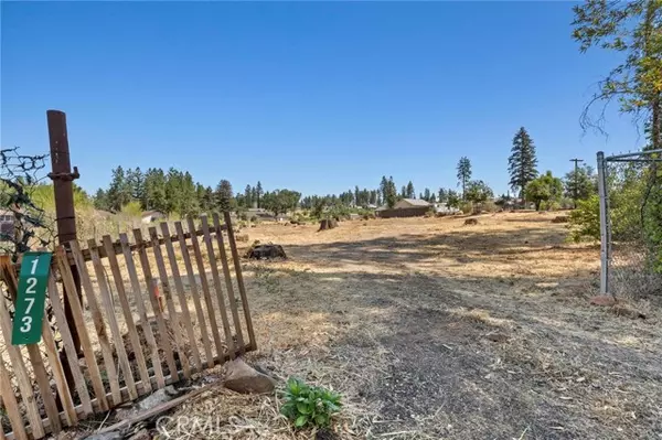 Paradise, CA 95969,1273 Nunneley RD