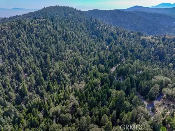 Lake Arrowhead, CA 92352,29207 Pigeon Hawk LN