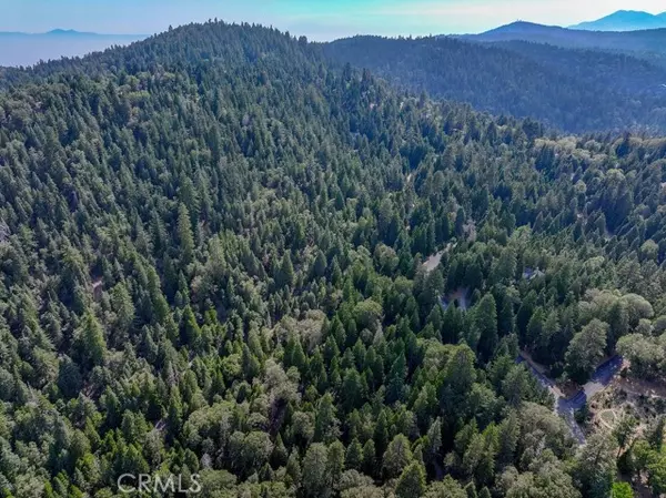 Lake Arrowhead, CA 92352,29207 Pigeon Hawk LN