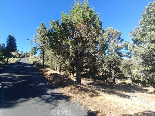Big Bear City, CA 92314,0 Avenue D
