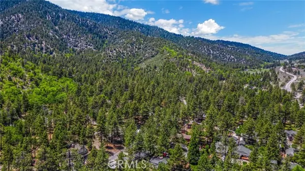 Wrightwood, CA 92397,6242 Conifer DR