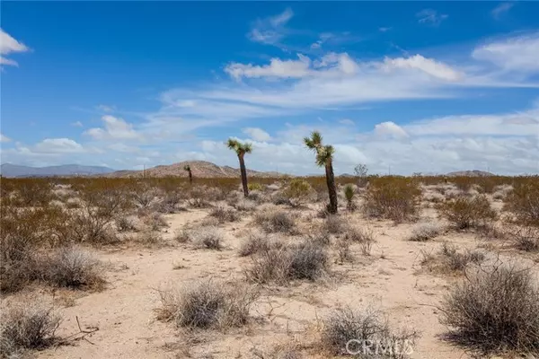 Joshua Tree, CA 92252,2000 Celeste RD