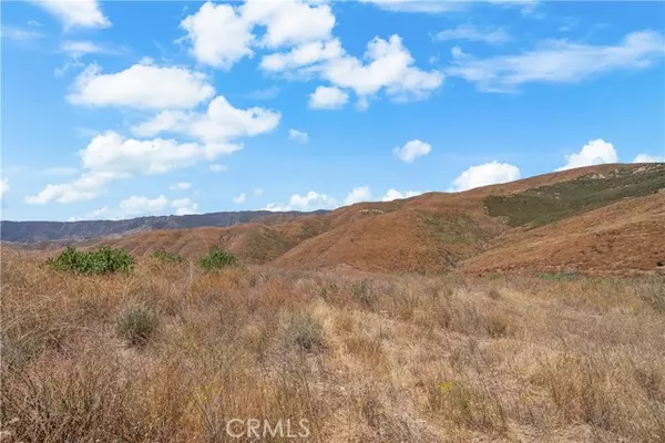 Castaic, CA 91384,0 Ridge Route RD