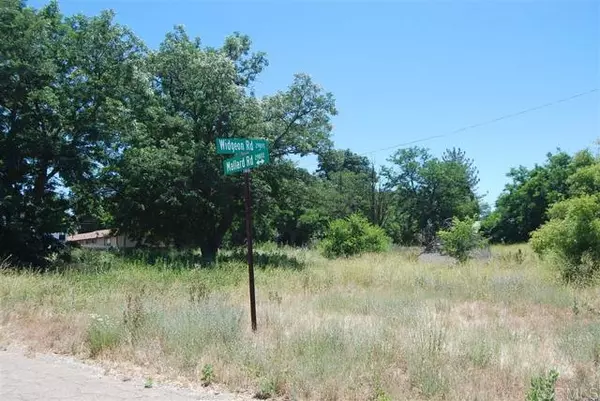 Campo, CA 91906,29918 Oak DR