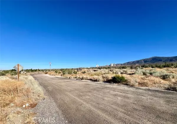 Llano, CA 93544,0 E COR 263RD STE AVE Z