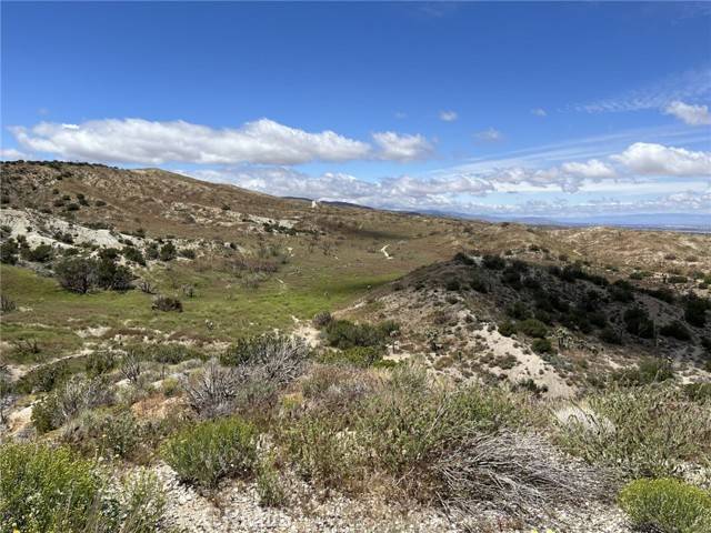 128 128th ST, Pearblossom, CA 93553