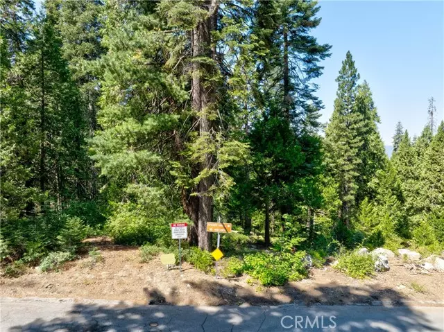 7199 Manzanita LN, Yosemite, CA 95389