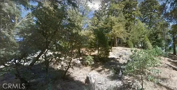 Cedarpines Park, CA 92322,0 Fir ST