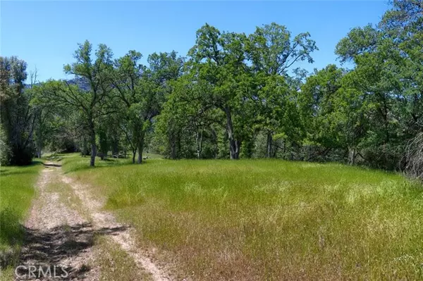 Oakhurst, CA 93644,0 11.84 AC Road 425A