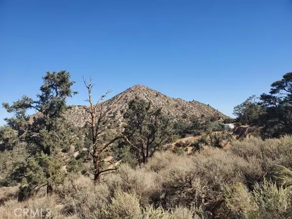 Wrightwood, CA 92372,0 Old Valley Springs RD