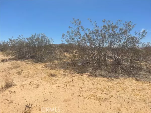 Yucca Valley, CA 92284,0 Kuna AVE