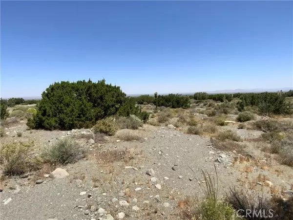 Pinon Hills, CA 92372,0 Phelan RD