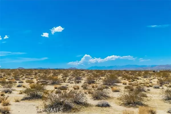 Joshua Tree, CA 92252,67181 29 Palms HWY