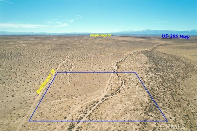 37 Bellflower ST, Adelanto, CA 92301