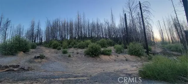 Berry Creek, CA 95916,0 Bald Rock