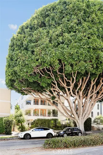 Santa Monica, CA 90403,938 2nd ST 301