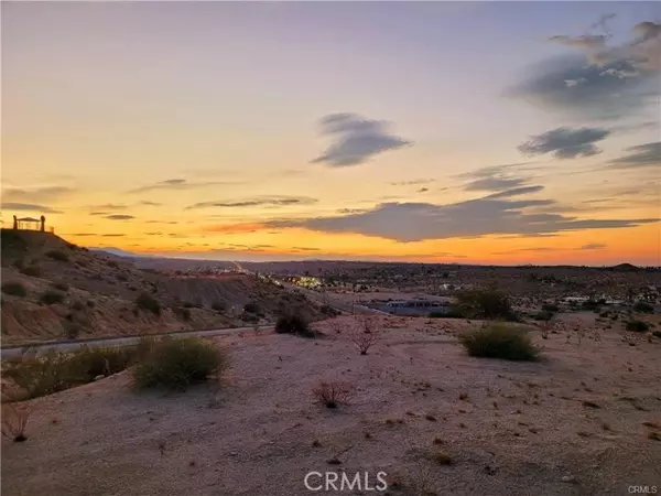 Twentynine Palms, CA 92277,0 Cactus