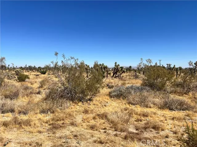 Pinon Hills, CA 92372,0 APN 3099-171-19-0000