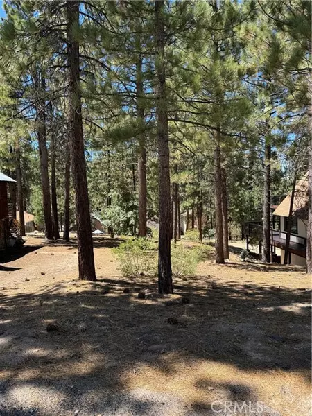 0 Main ST, Big Bear Lake, CA 92315