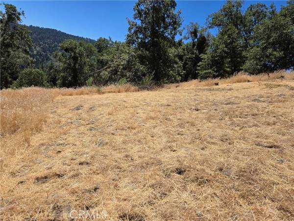 22045 Mojave River RD, Cedarpines Park, CA 92322