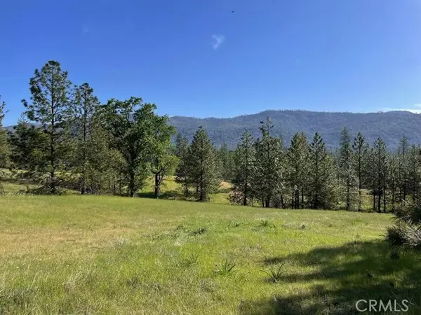 0 Triangle RD, Mariposa, CA 95338