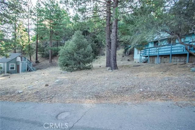 0 E Canyon Dr, Wrightwood, CA 92397