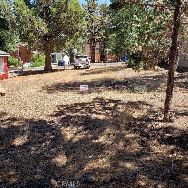 Sugarloaf, CA 92386,864 San Bernardino AVE