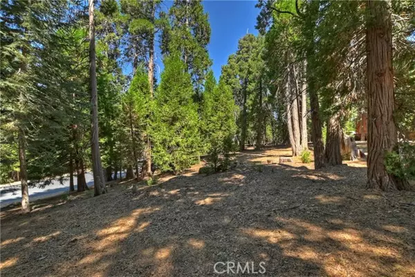 Lake Arrowhead, CA 92352,388 Cedar Ridge DR