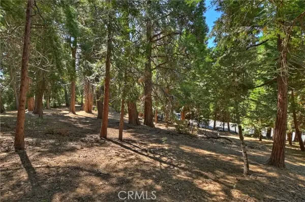 Lake Arrowhead, CA 92352,388 Cedar Ridge DR