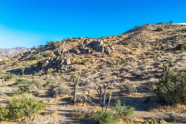 Yucca Valley, CA 92284,596 Buena Suerte RD