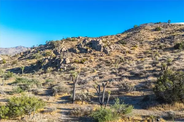 Yucca Valley, CA 92284,596 Buena Suerte RD