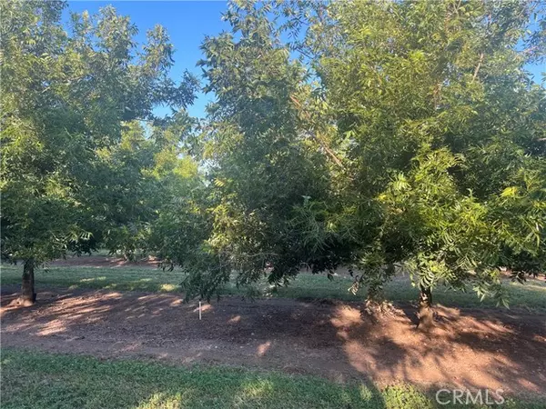 Chico, CA 95973,14450 Meridian RD