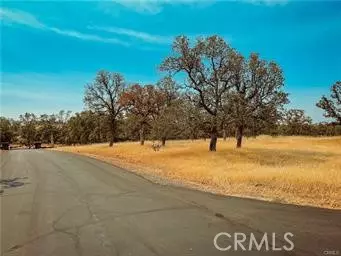 Chico, CA 95973,0 Indian Cliffs Drive Lot 17 DR