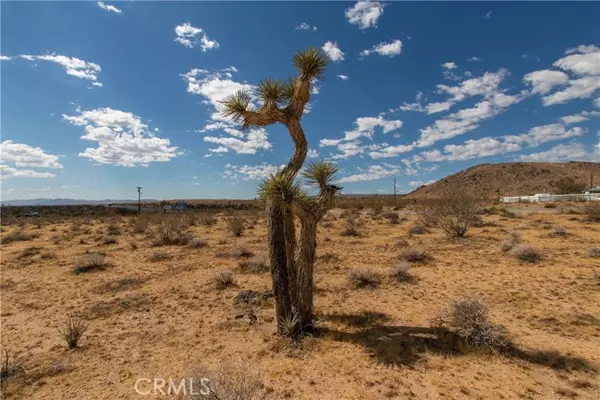 Landers, CA 92285,0 Old Woman SPGS