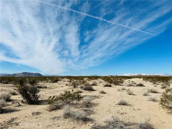 Joshua Tree, CA 92252,1234 Desert Lily ST