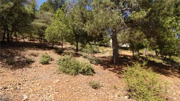 Kelseyville, CA 95451,8157 Broadview DR