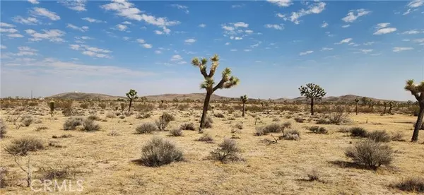 Joshua Tree, CA 92252,60220 Drexel RD