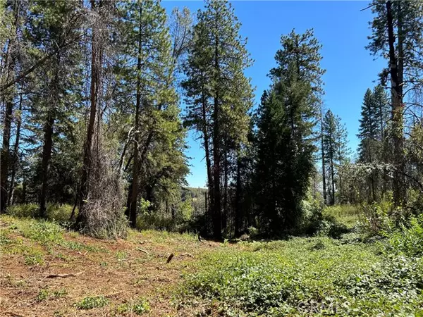 Magalia, CA 95954,0 Ponderosa WAY