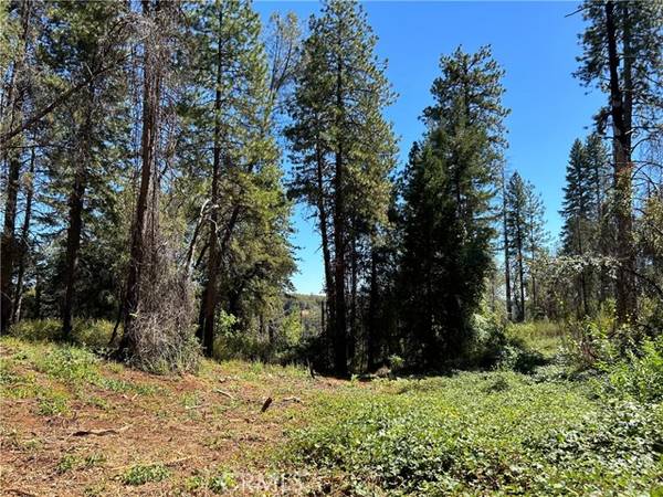 0 Ponderosa WAY, Magalia, CA 95954