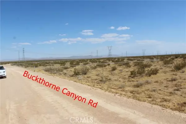 Adelanto, CA 92301,111 Buckthorne Canyon RD