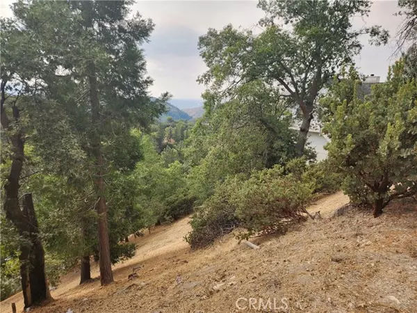 Lake Arrowhead, CA 92352,0 Evergreen LN