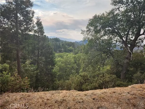 Lake Arrowhead, CA 92352,0 Evergreen LN