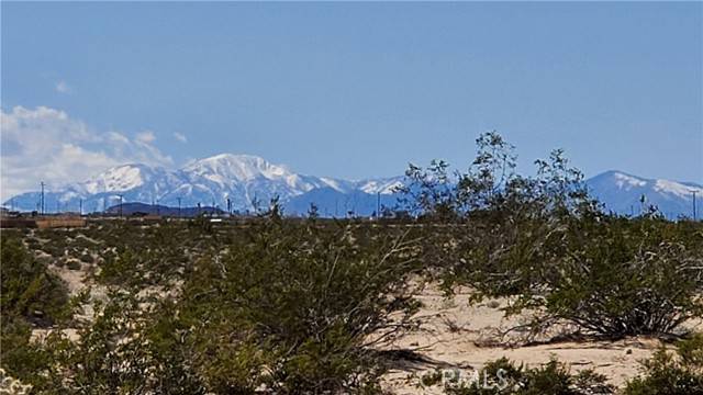 0 Taylor LN, Twentynine Palms, CA 92277