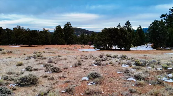 Big Bear City, CA 92314,0 Pine LN