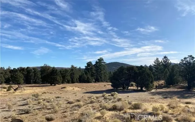 Big Bear City, CA 92314,0 Pine LN