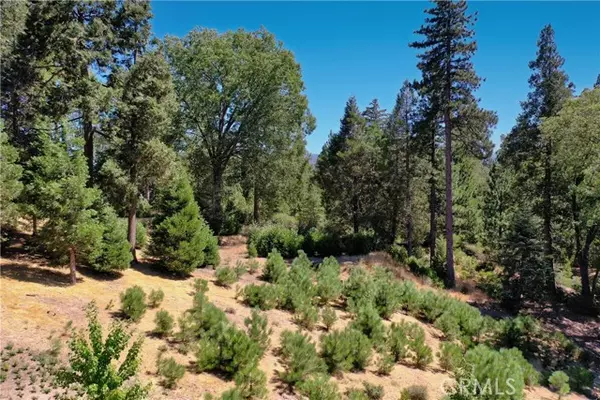 Lake Arrowhead, CA 92352,29230 Pigeon Hawk LN