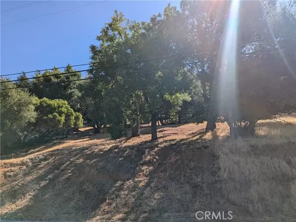 Kelseyville, CA 95451,2904 Riviera Heights DR