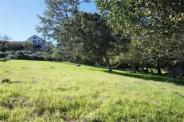 Cambria, CA 93428,0 Pineridge DR