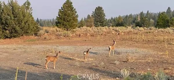 Alturas, CA 96101,2526 Rainier RD